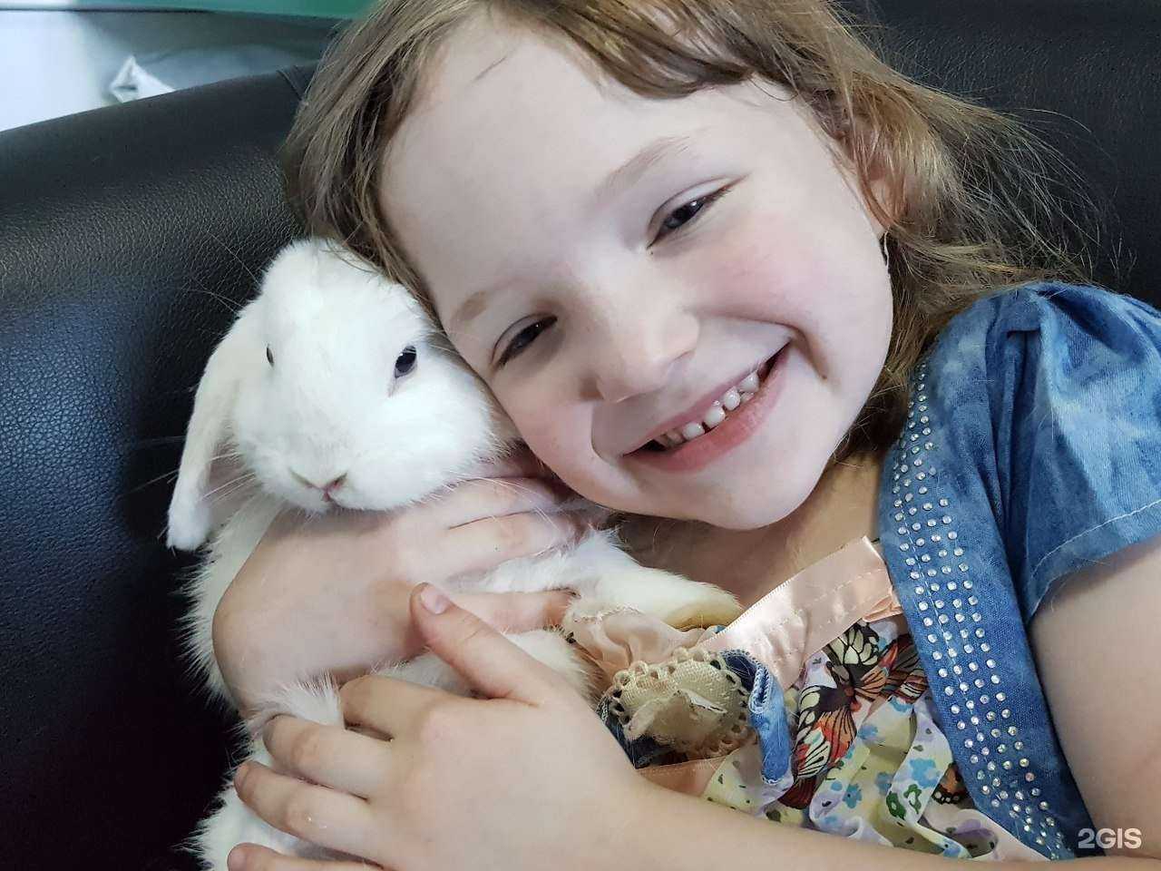 Отзывы на компанию Холистик в Набережных Челнах c фото