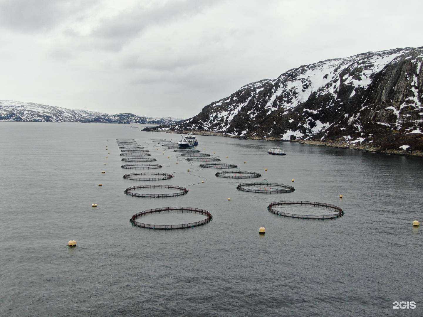 Отзывы на компанию Русский Лосось в г. Мурманск c фото