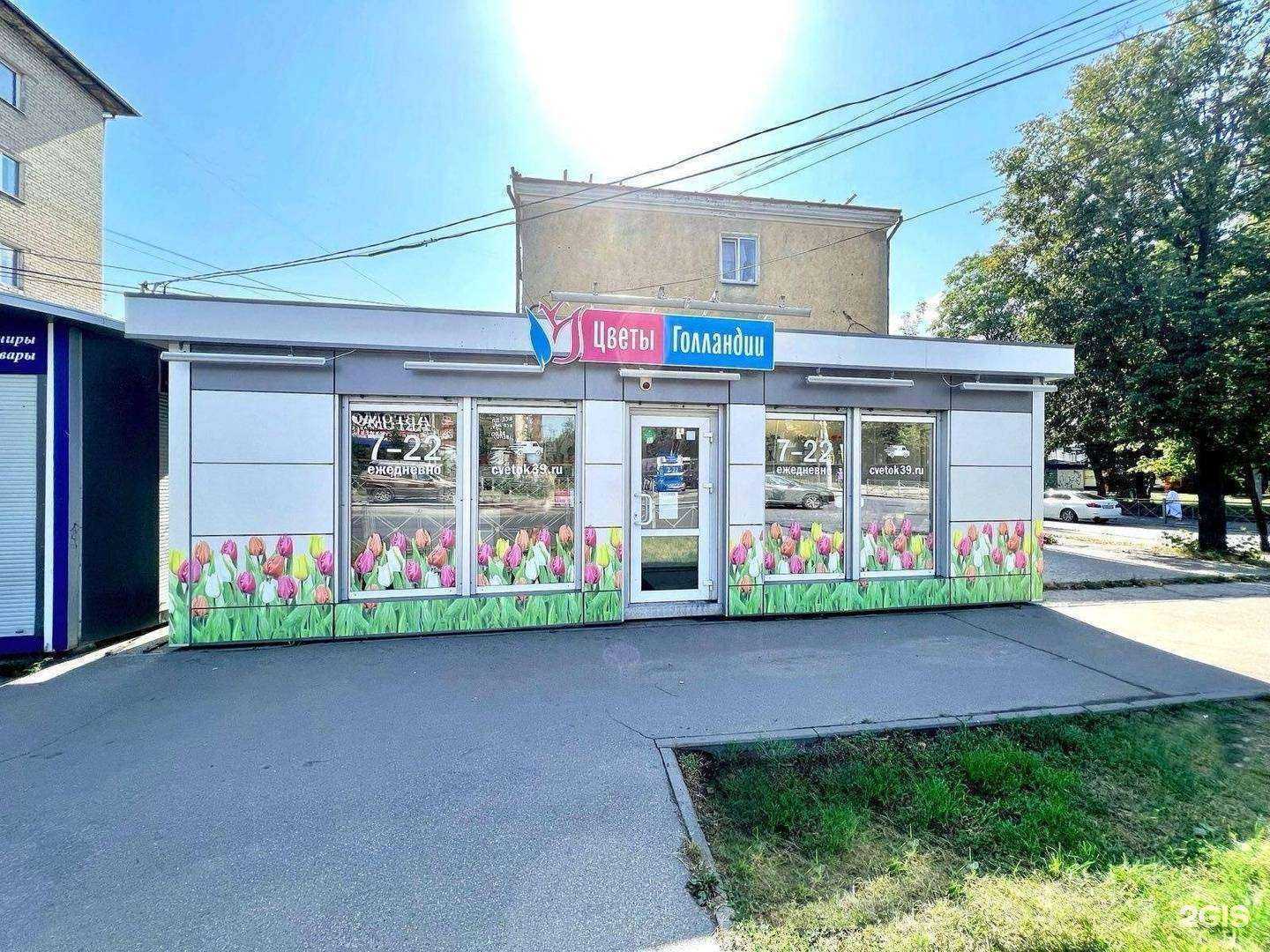 Отзывы на компанию Цветы Голландии в г. Калининград c фото