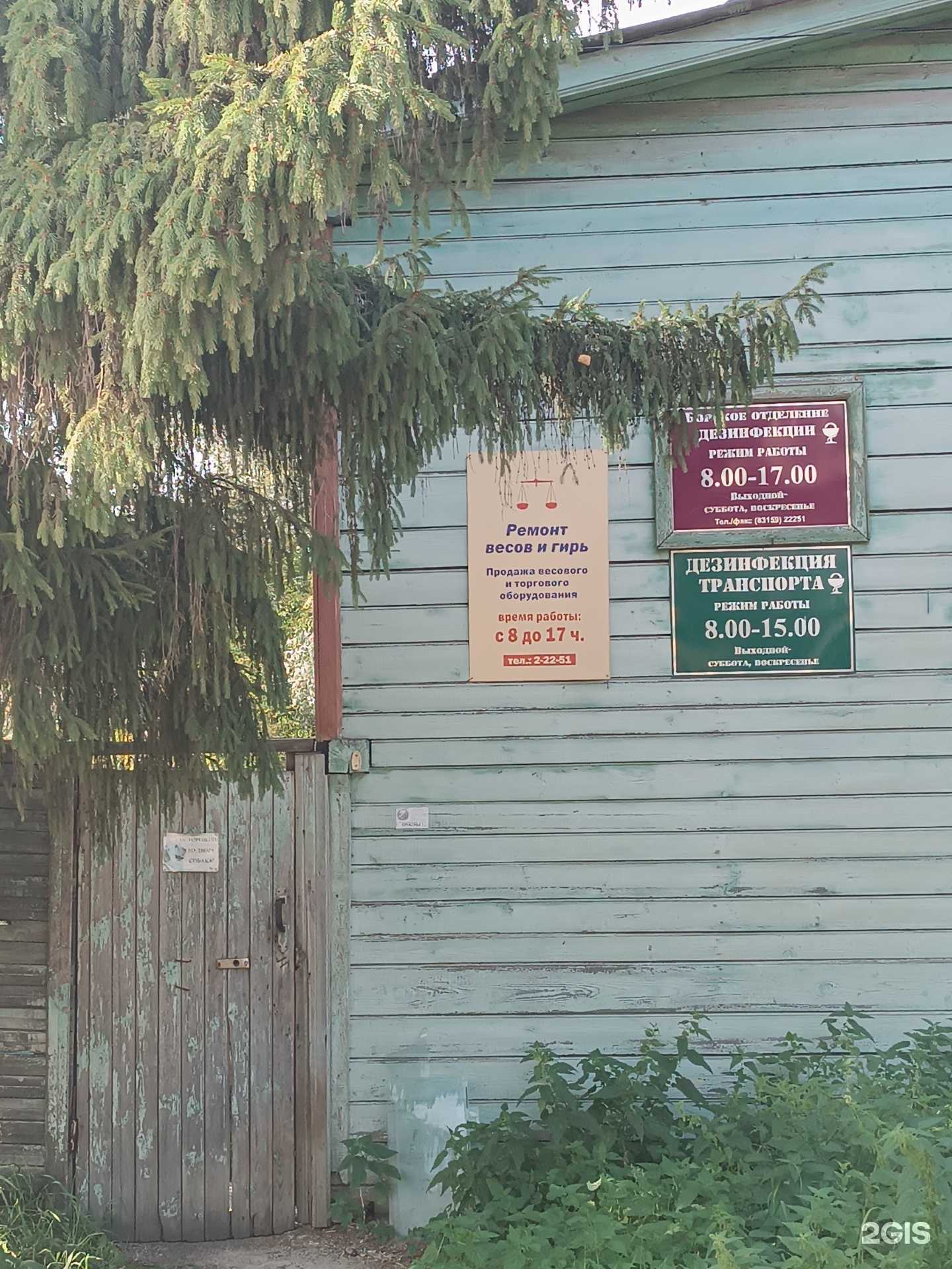 Отзывы на компанию Перспектива в г. Бор c фото