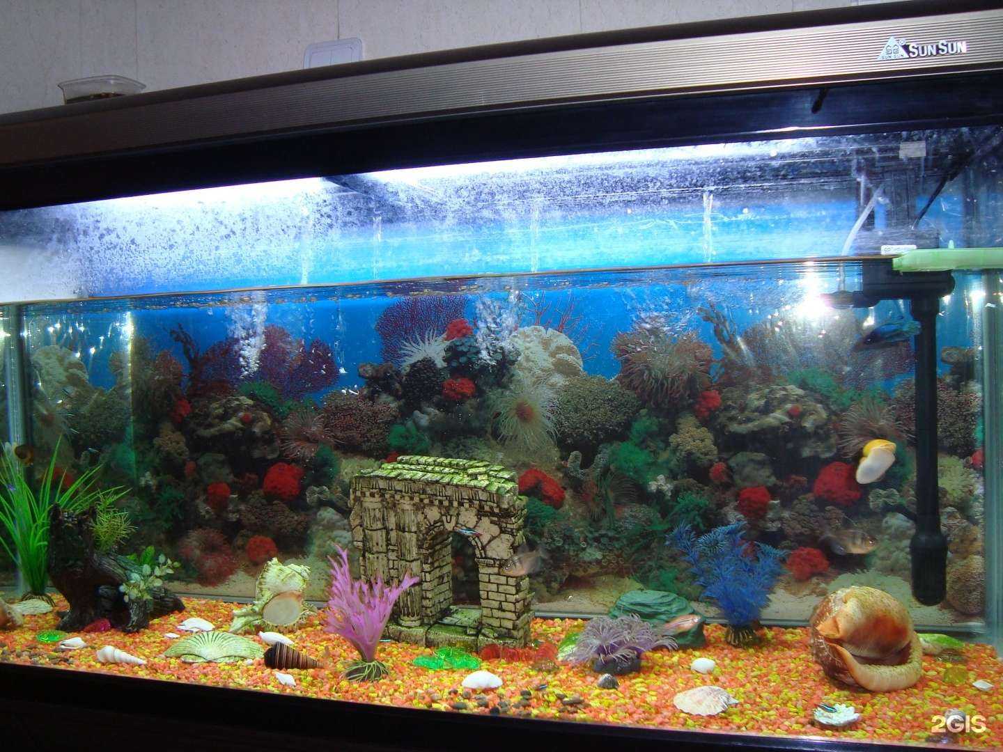 Отзывы на компанию Эстом в г. Чита c фото