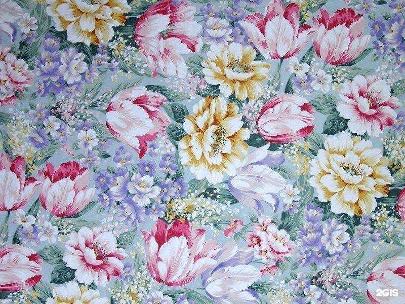 Отзывы на компанию Кисоня в Омске c фото