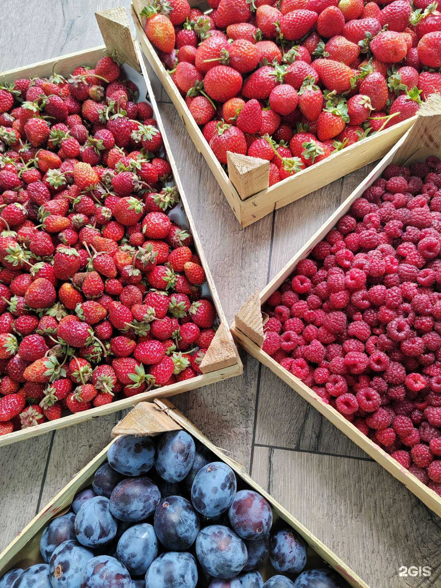 Отзывы на компанию Дом Ягод в Тюмени c фото