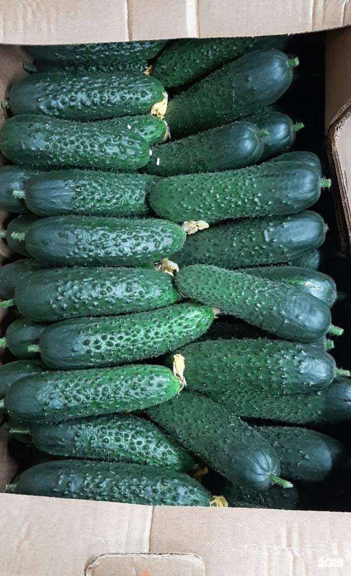 Отзывы на компанию Магазин фруктов и сухофруктов в Новосибирске c фото