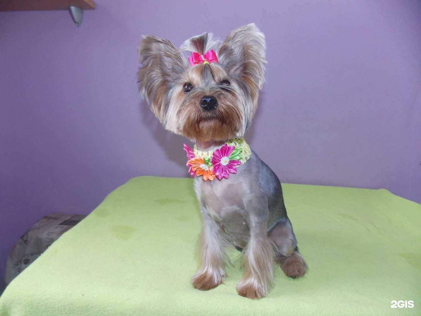 Отзывы на компанию Эндорфингрум в г. Челябинск c фото