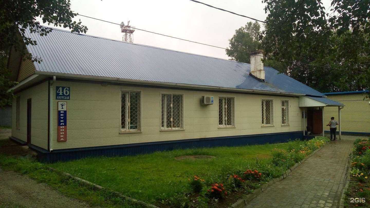 Отзывы на компанию Артемовская ветеринарная станция по борьбе с болезнями животных в Артёме c фото