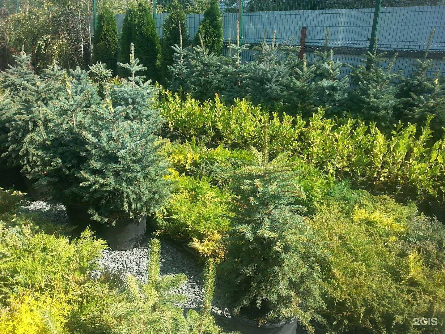 Отзывы на компанию Моя усадьба в г. Кемерово c фото