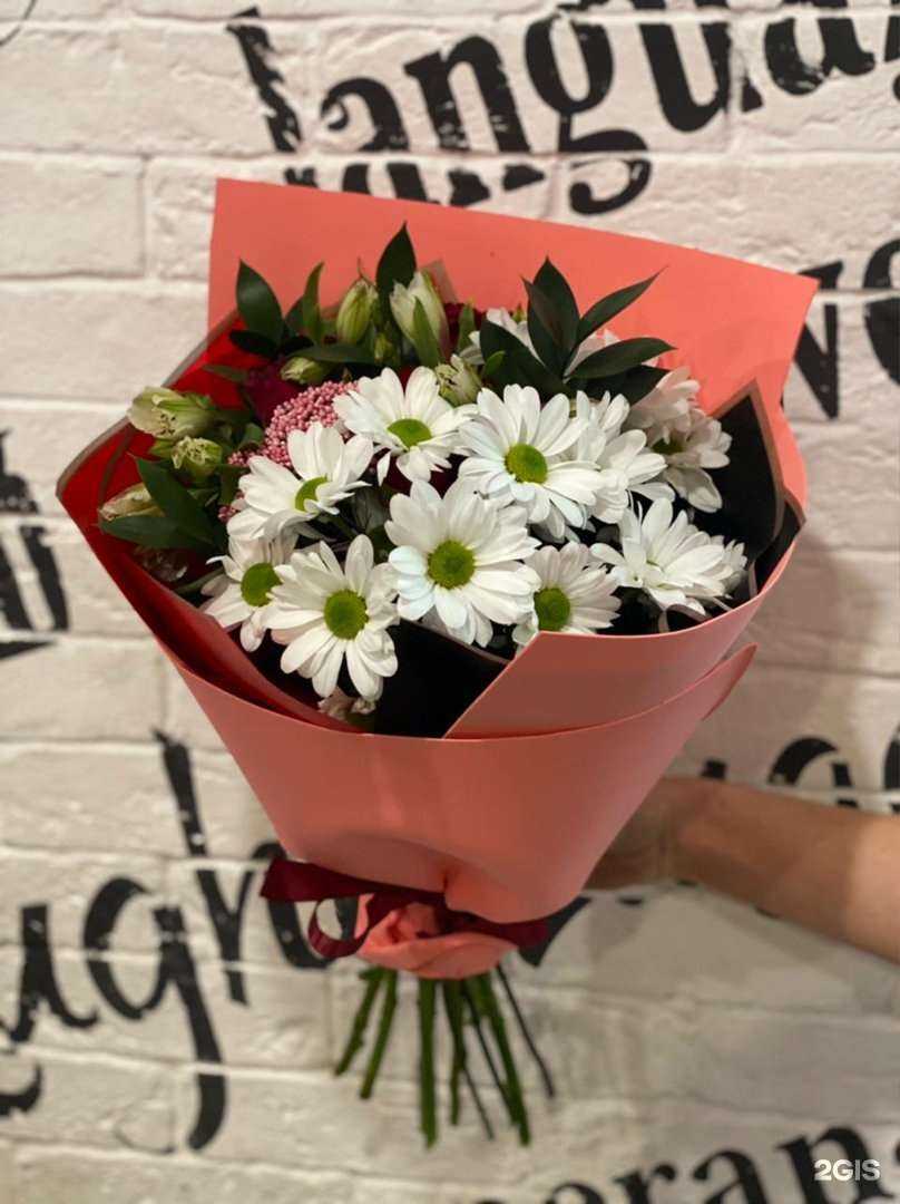 Отзывы на компанию Кактус в Омске c фото