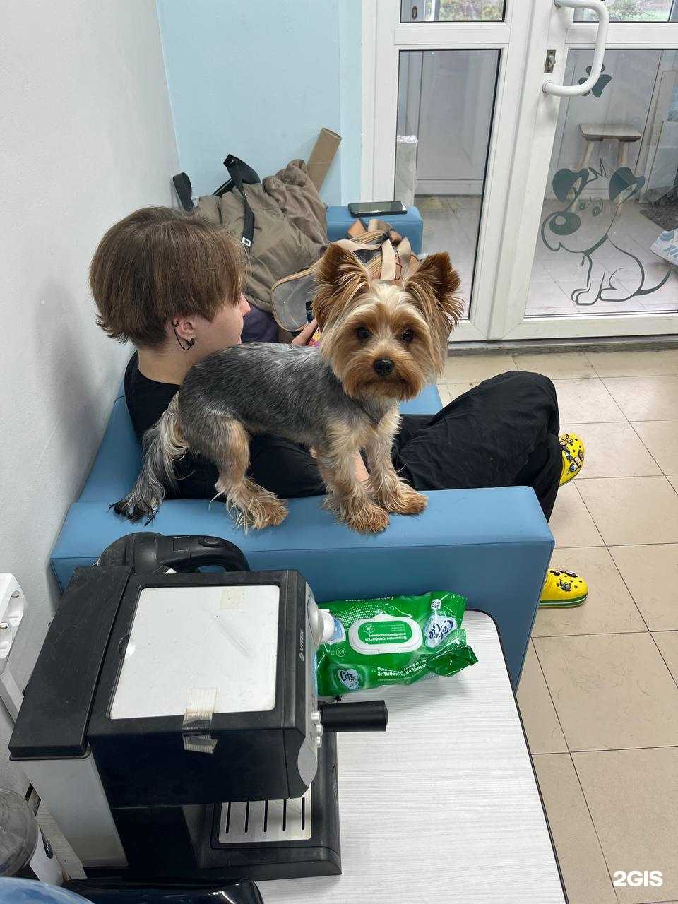 Отзывы на компанию Барни в Тюмени c фото