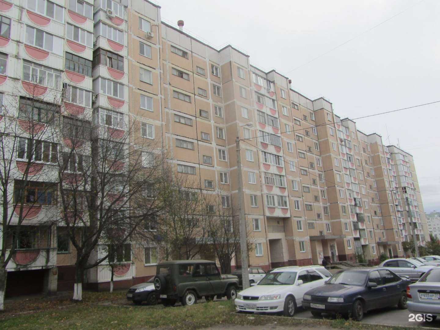 Отзывы на компанию Кудряшка в Белгороде c фото