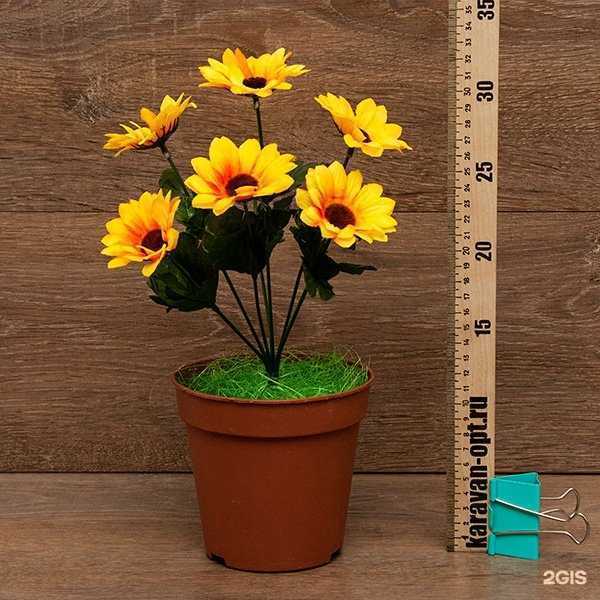 Отзывы на компанию Караван в г. Воронеж c фото