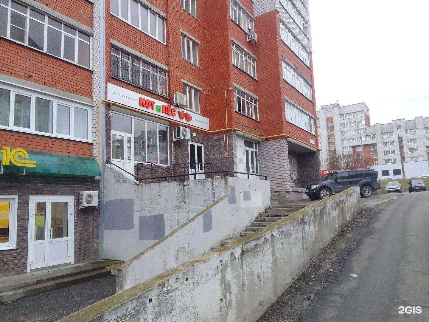 Отзывы на компанию Кот и Пёс в г. Чебоксары c фото