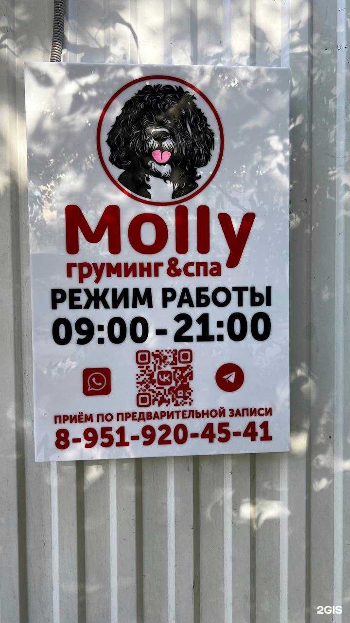 Отзывы на компанию Molly в Перми c фото