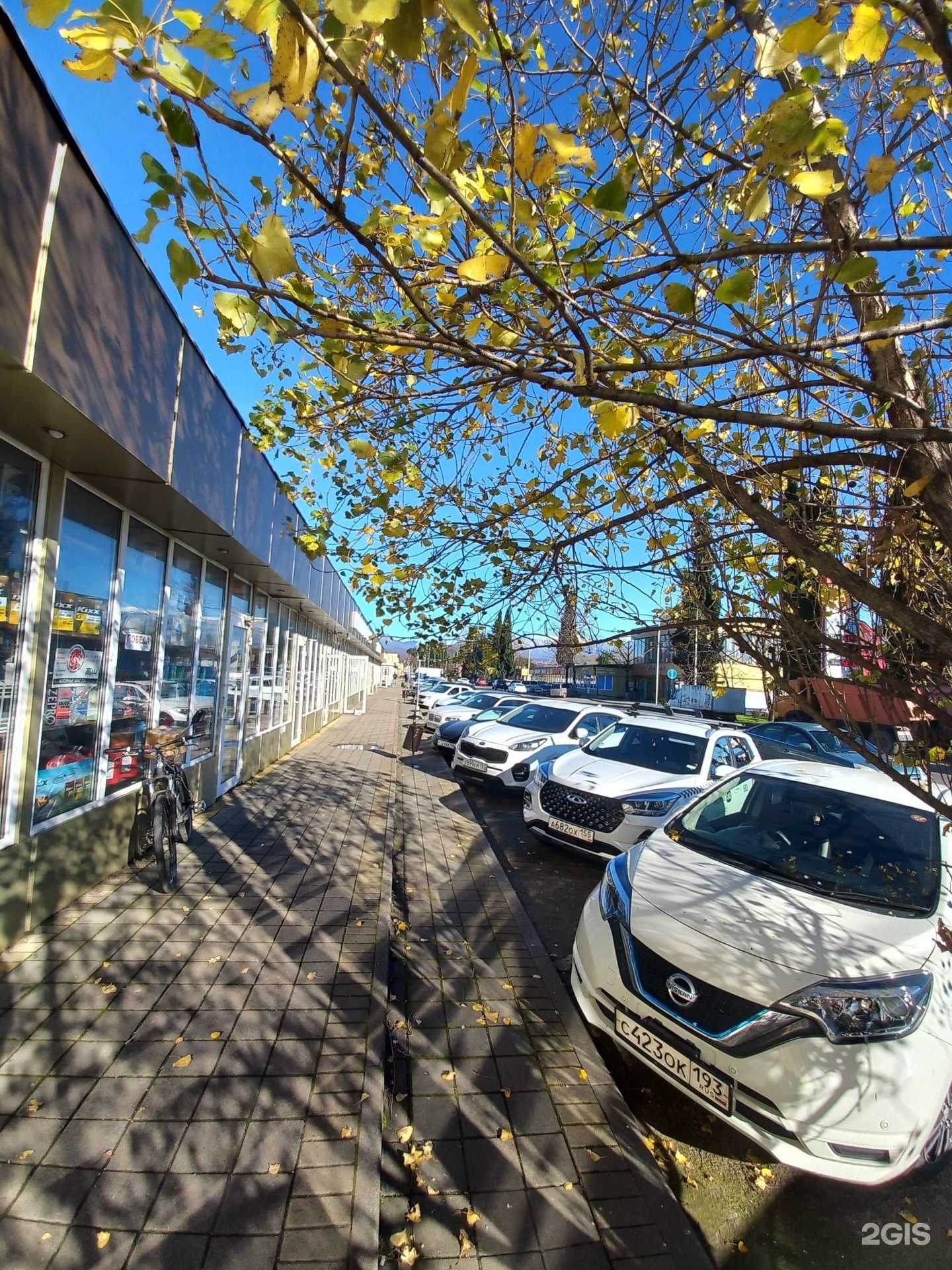 Отзывы на компанию Grand Auto в Сочи c фото - фотография 2 из 2