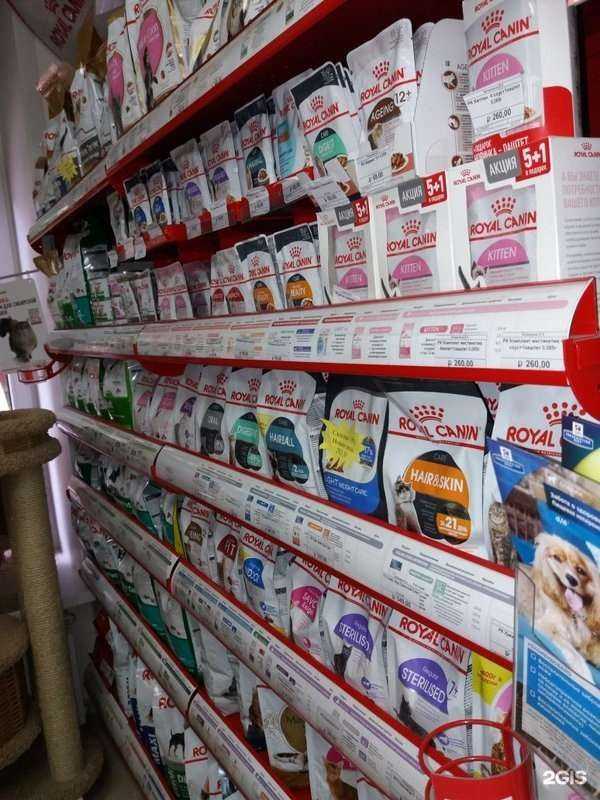 Отзывы на компанию Пушистый модник в г. Липецк c фото