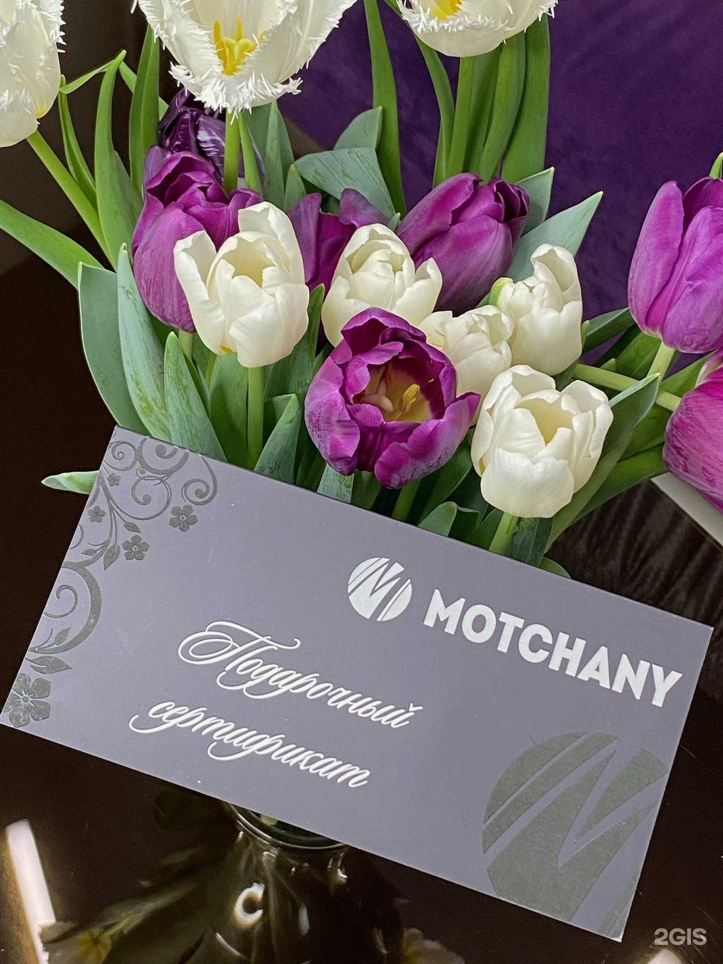 Отзывы на компанию Motchany в Екатеринбурге c фото