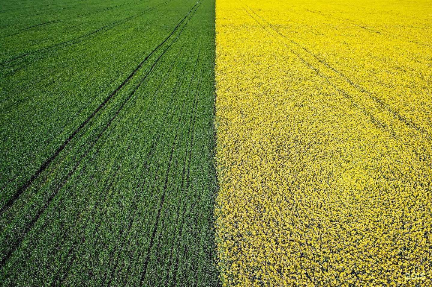 Отзывы на компанию Инфобис в г. Саратов c фото