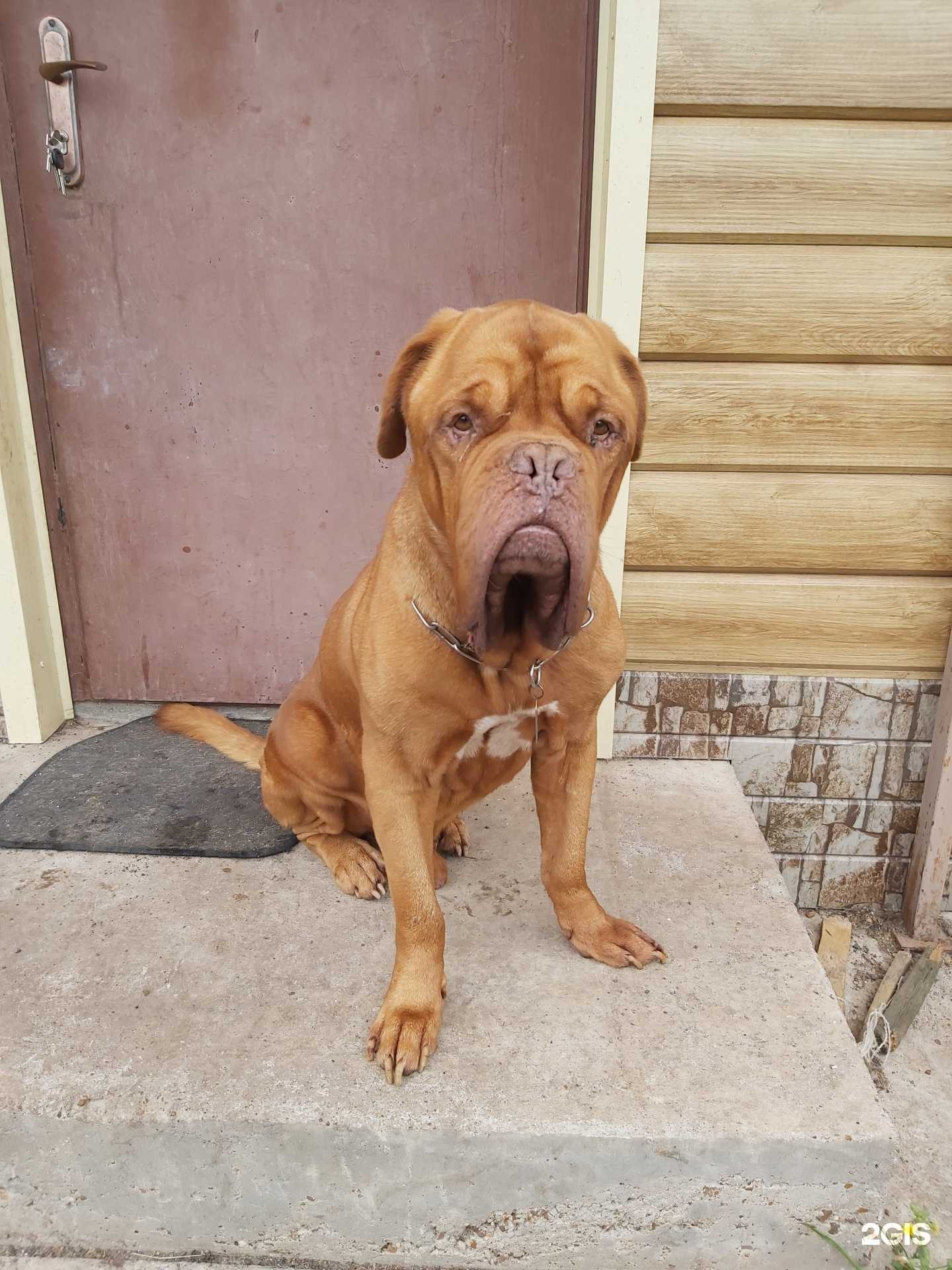 Отзывы на компанию У Инны в г. Уфа c фото