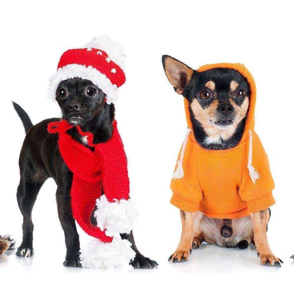 Отзывы на компанию Аквариум в Пензе c фото