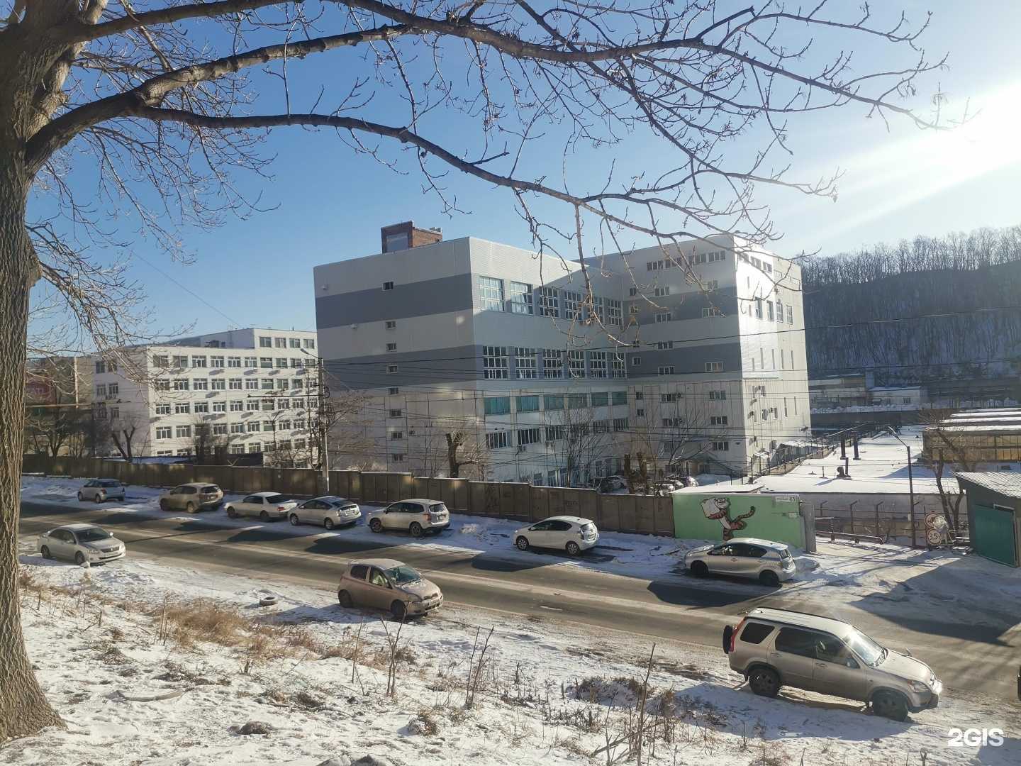 Отзывы на компанию Первая IT-компания в Владивостоке c фото