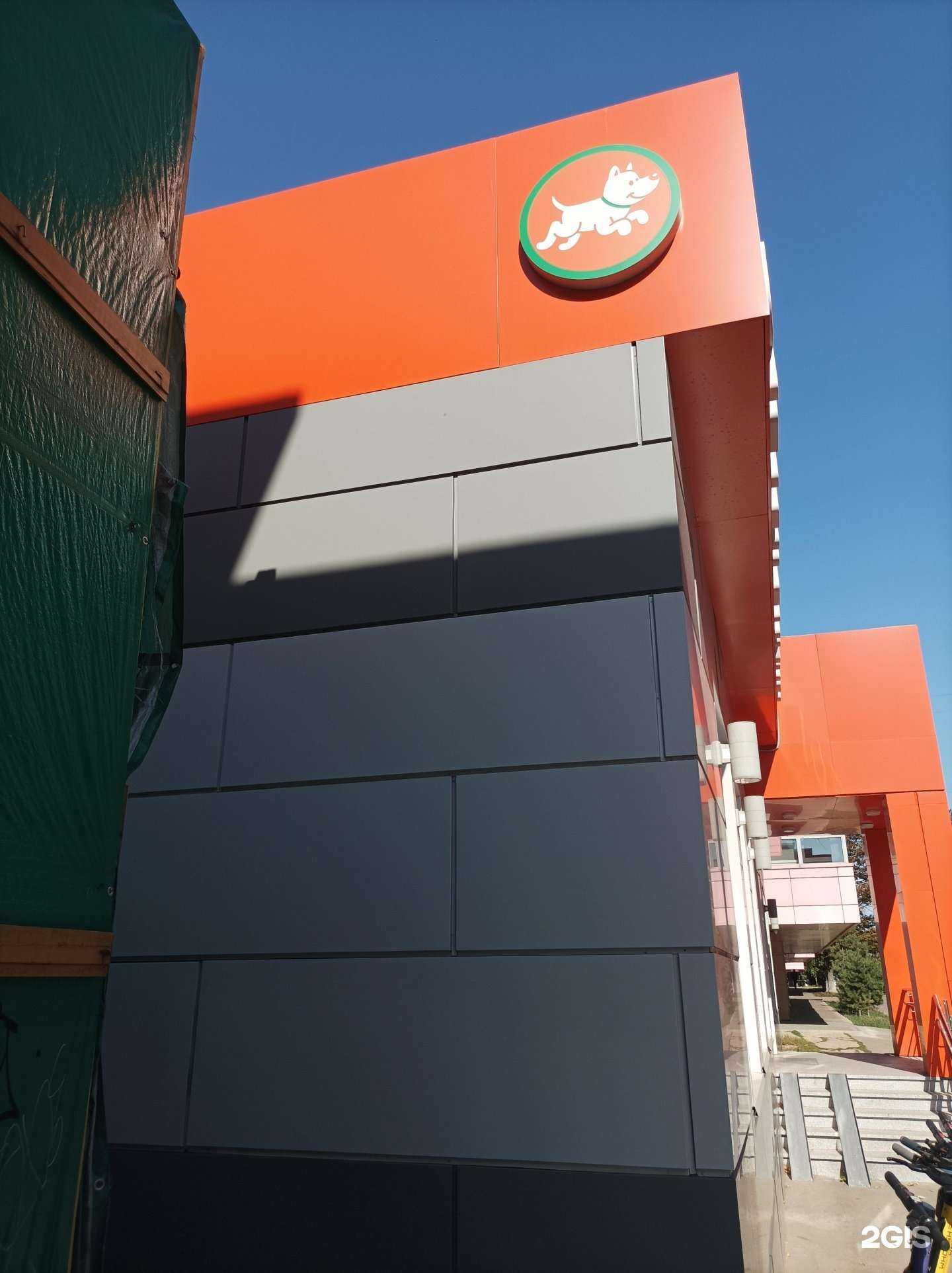 Отзывы на компанию Четыре лапы в Одинцове c фото - фотография 2 из 2