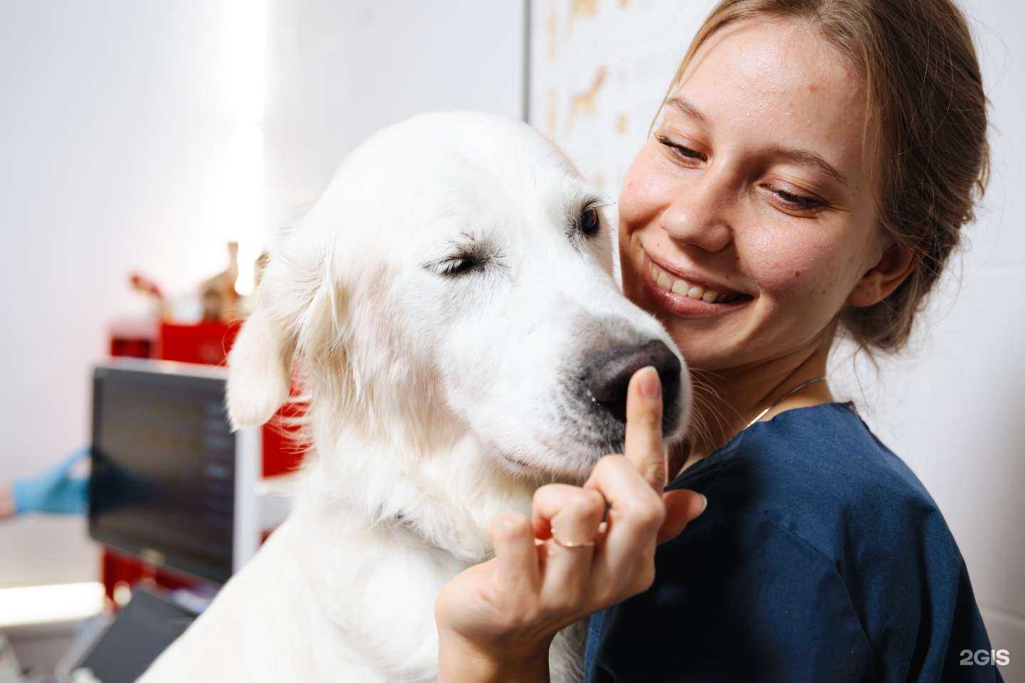 Отзывы на компанию ИВЦ МВА в Сочи c фото