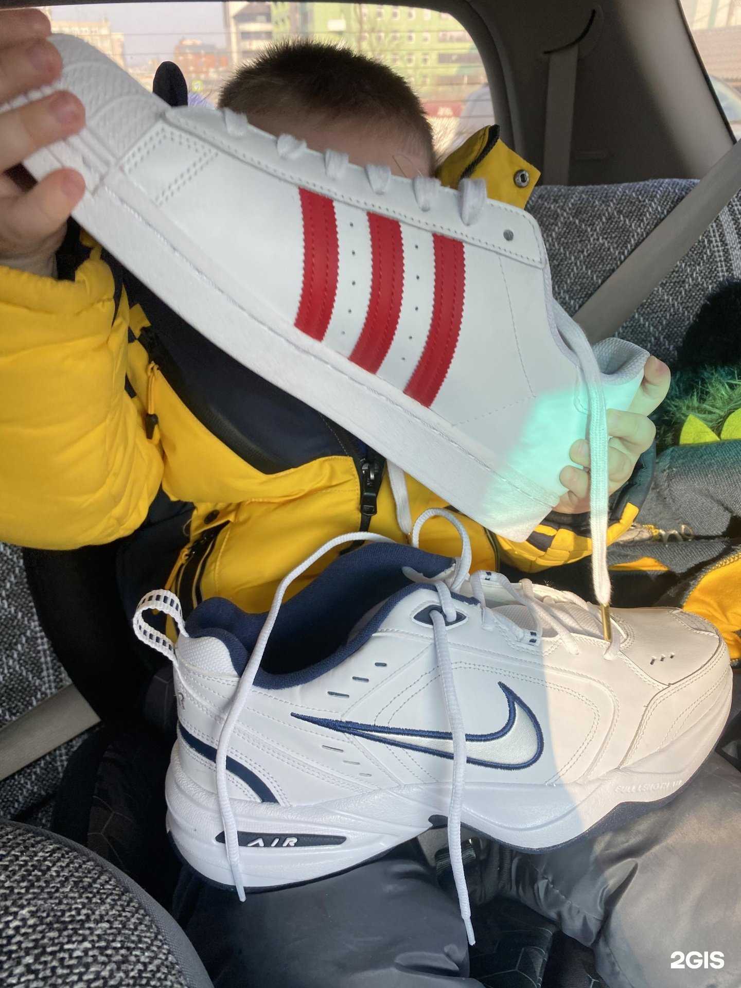 Отзывы на компанию Bulldog-shop в г. Владивосток c фото