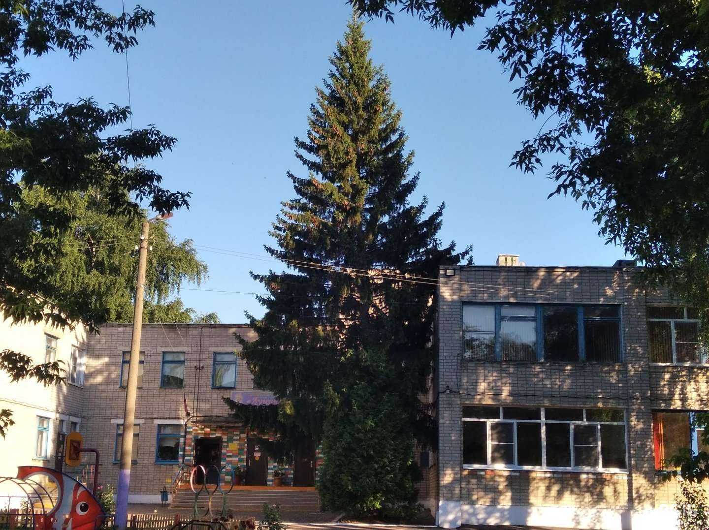 Отзывы на компанию Лучик в г. Тамбов c фото