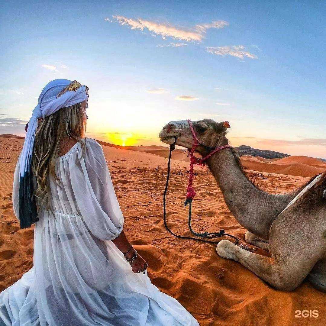 Отзывы на компанию Престиж тур в г. Хабаровск c фото