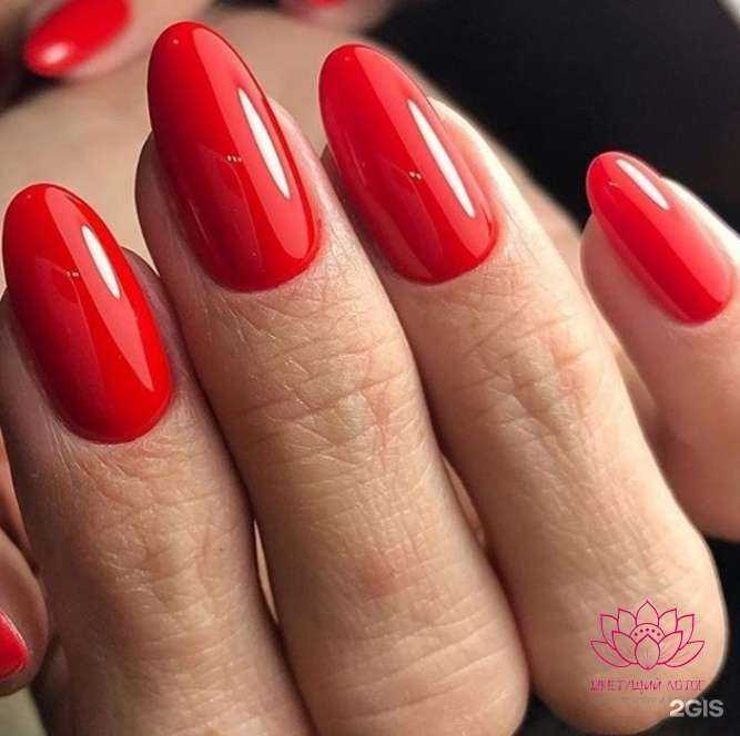 Отзывы на компанию Цветущий лотос в Одинцове c фото