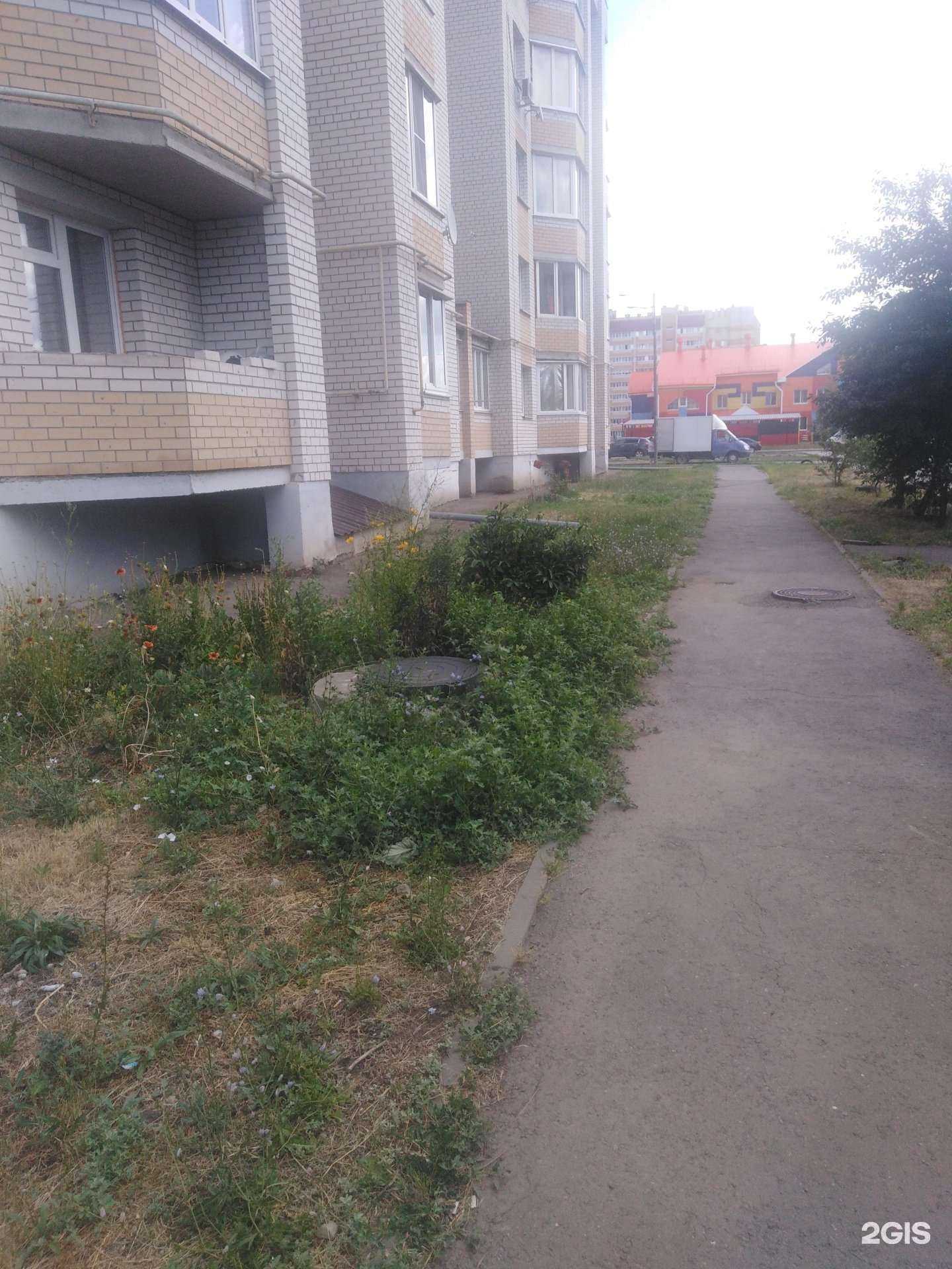 Отзывы на компанию Эль&хмель в Тамбове c фото - фотография 2 из 2