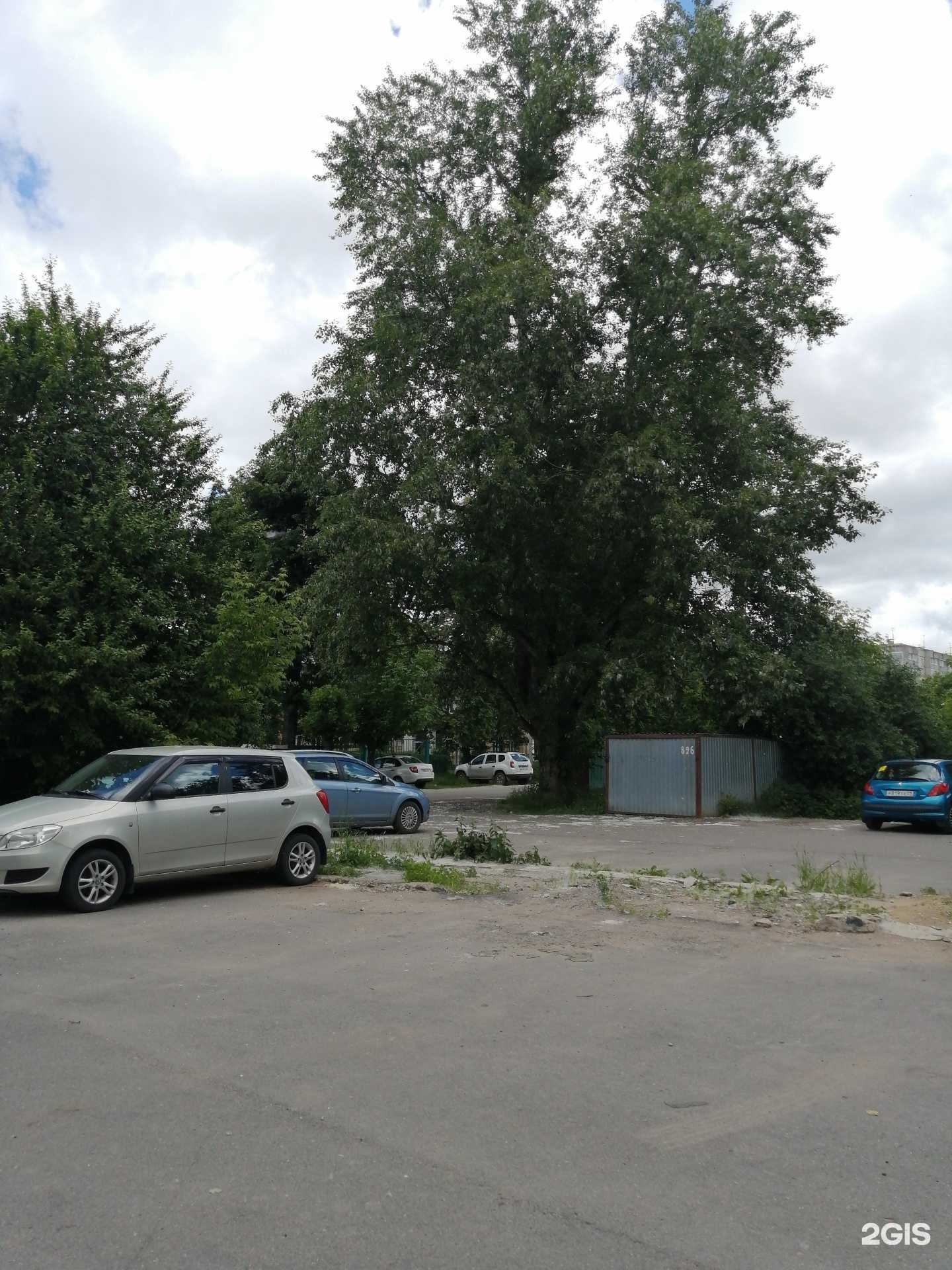 Отзывы на компанию Тверской областной центр юных техников в Твери c фото