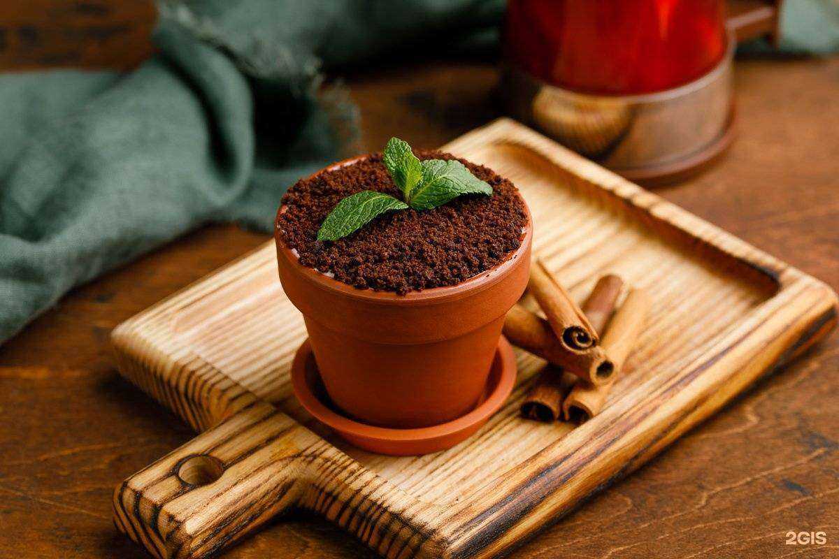 Отзывы на компанию Ближе в Томске c фото