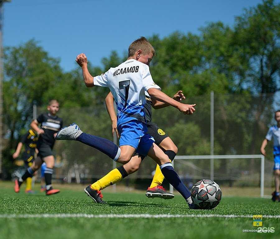 Отзывы на компанию Барс в Оренбурге c фото