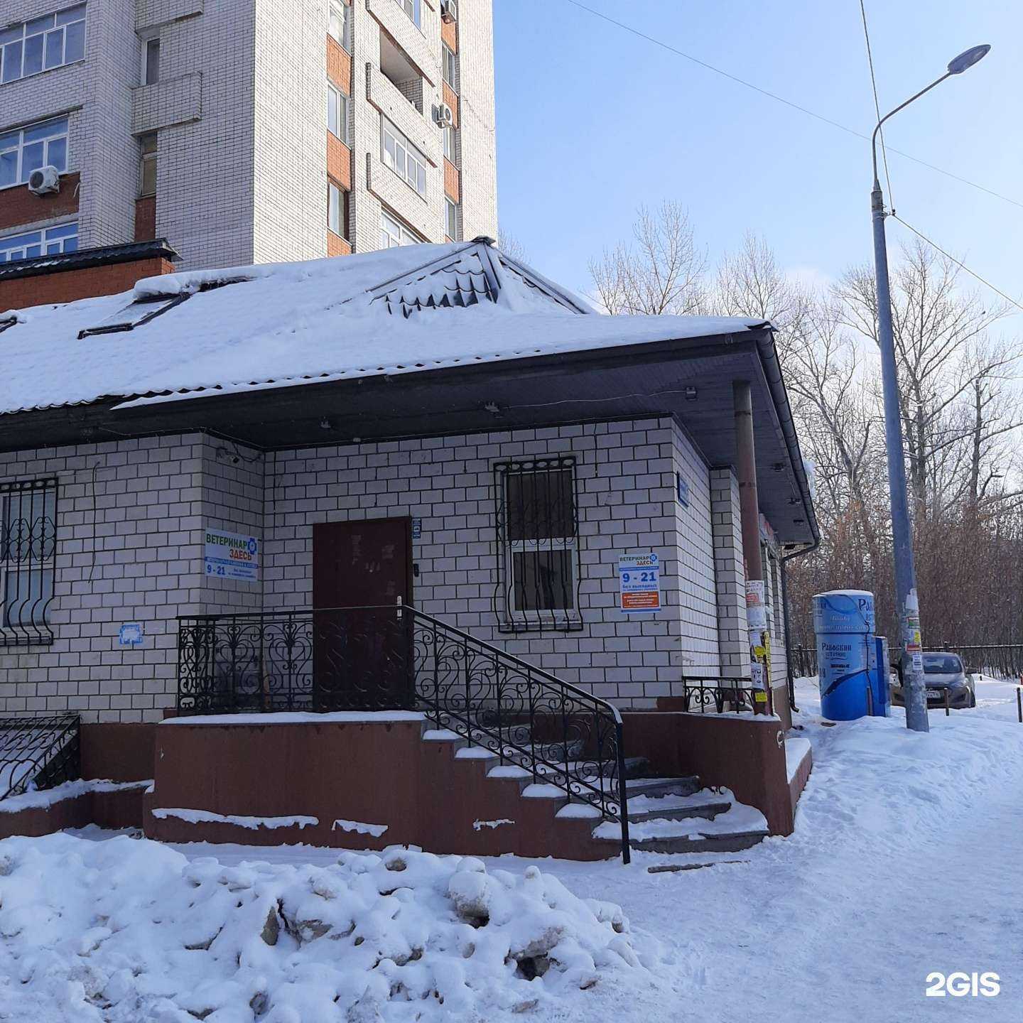 Отзывы на компанию Ветеринар Здесь в Казани c фото