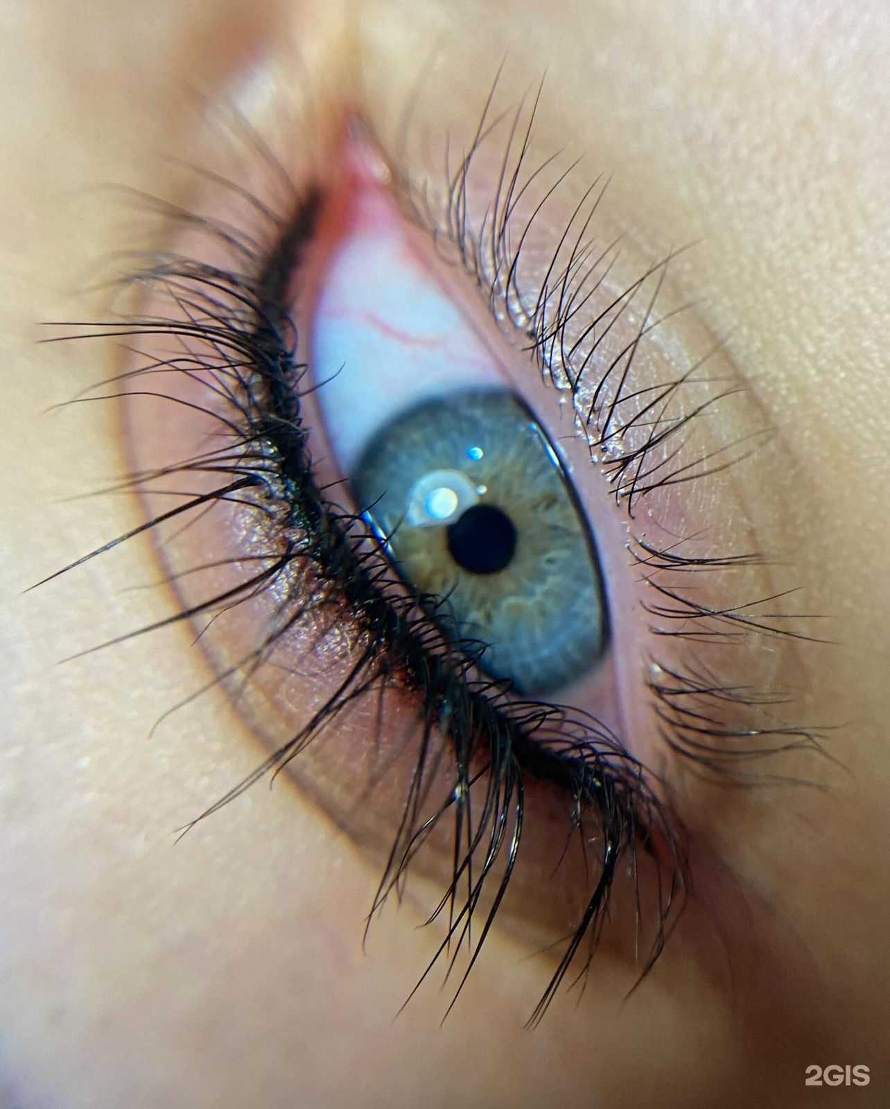 Отзывы на компанию Луна в г. Новосибирск c фото