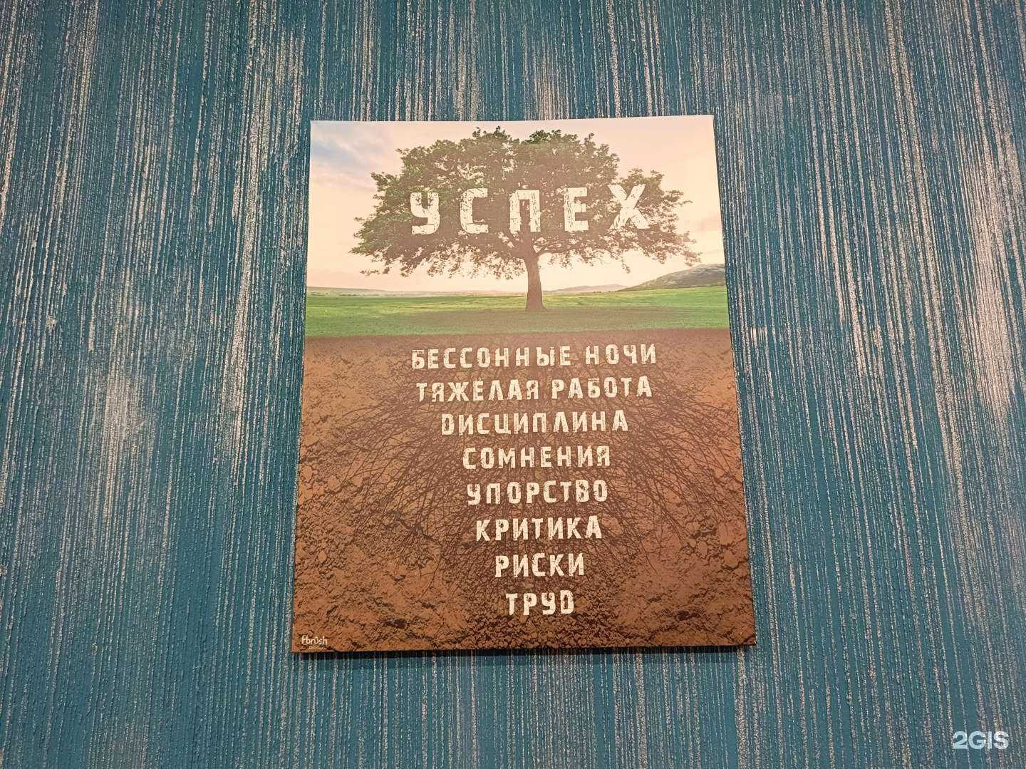 Отзывы на компанию Планка в г. Тверь c фото