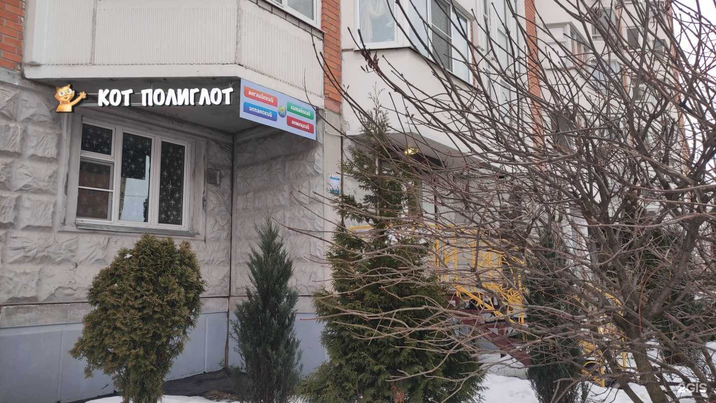 Отзывы на компанию Кот полиглот в Лобне c фото
