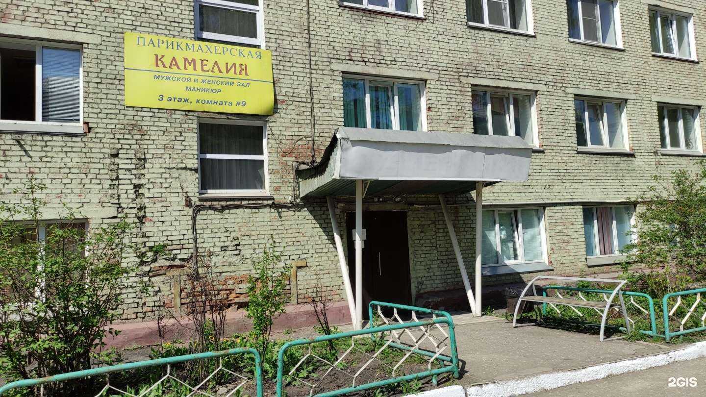 Отзывы на компанию Камелия в Новокузнецке c фото