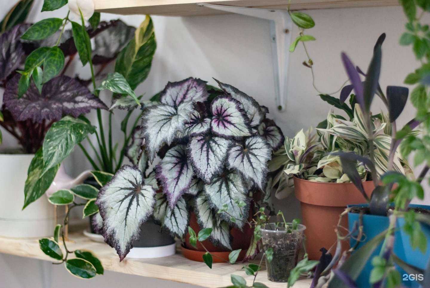 Отзывы на компанию Осока в г. Киров c фото