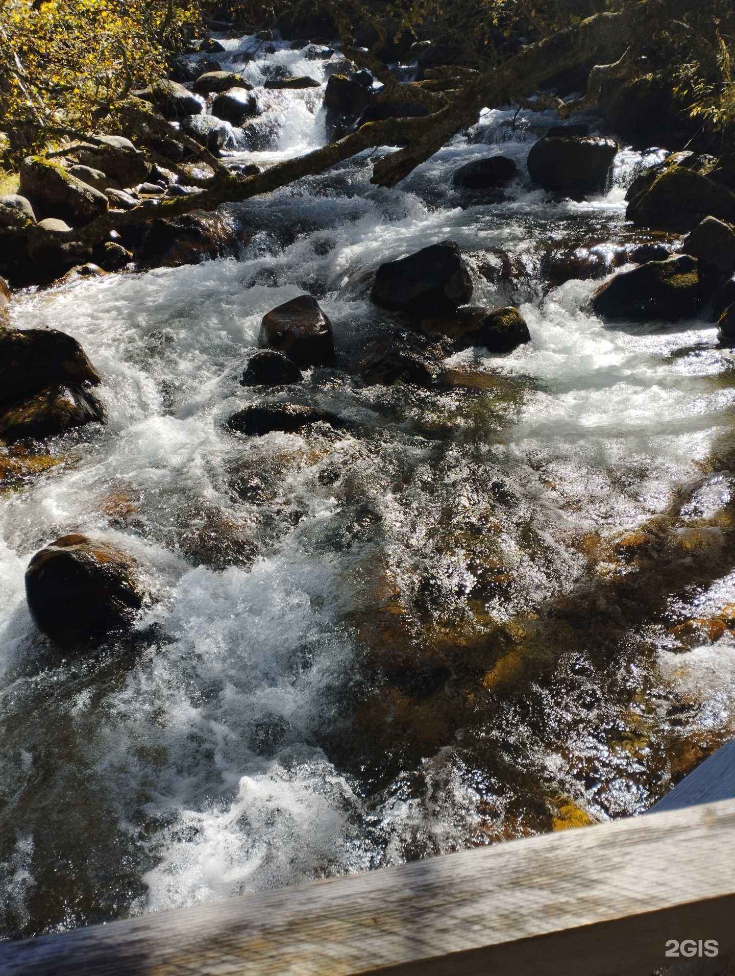 Отзывы на компанию Спринт в г. Ростов-на-Дону c фото