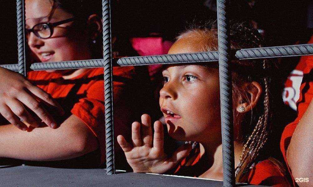 Отзывы на компанию Fort Grad в Пскове c фото