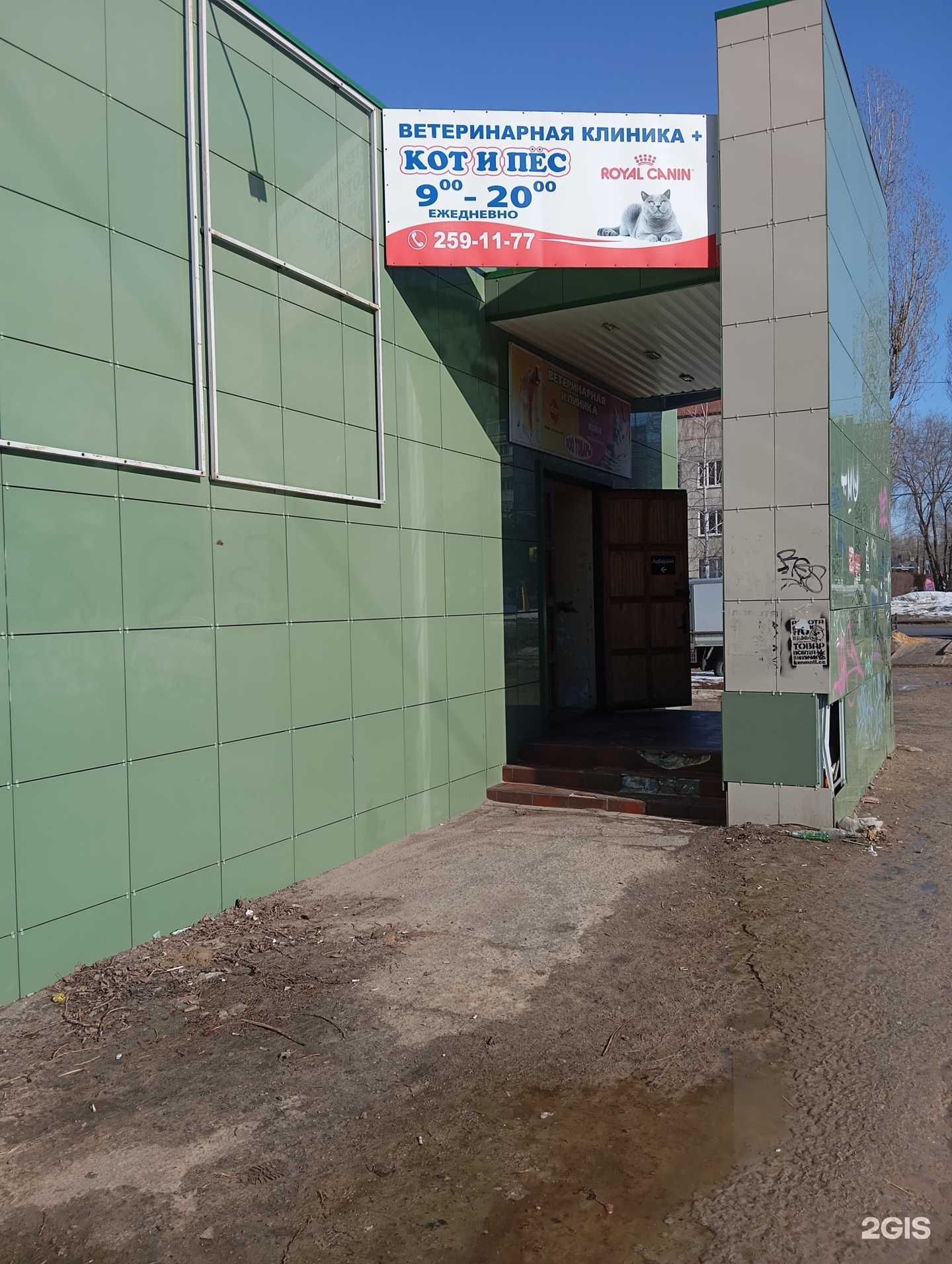 Отзывы на компанию Кот и пёс в Воронеже c фото