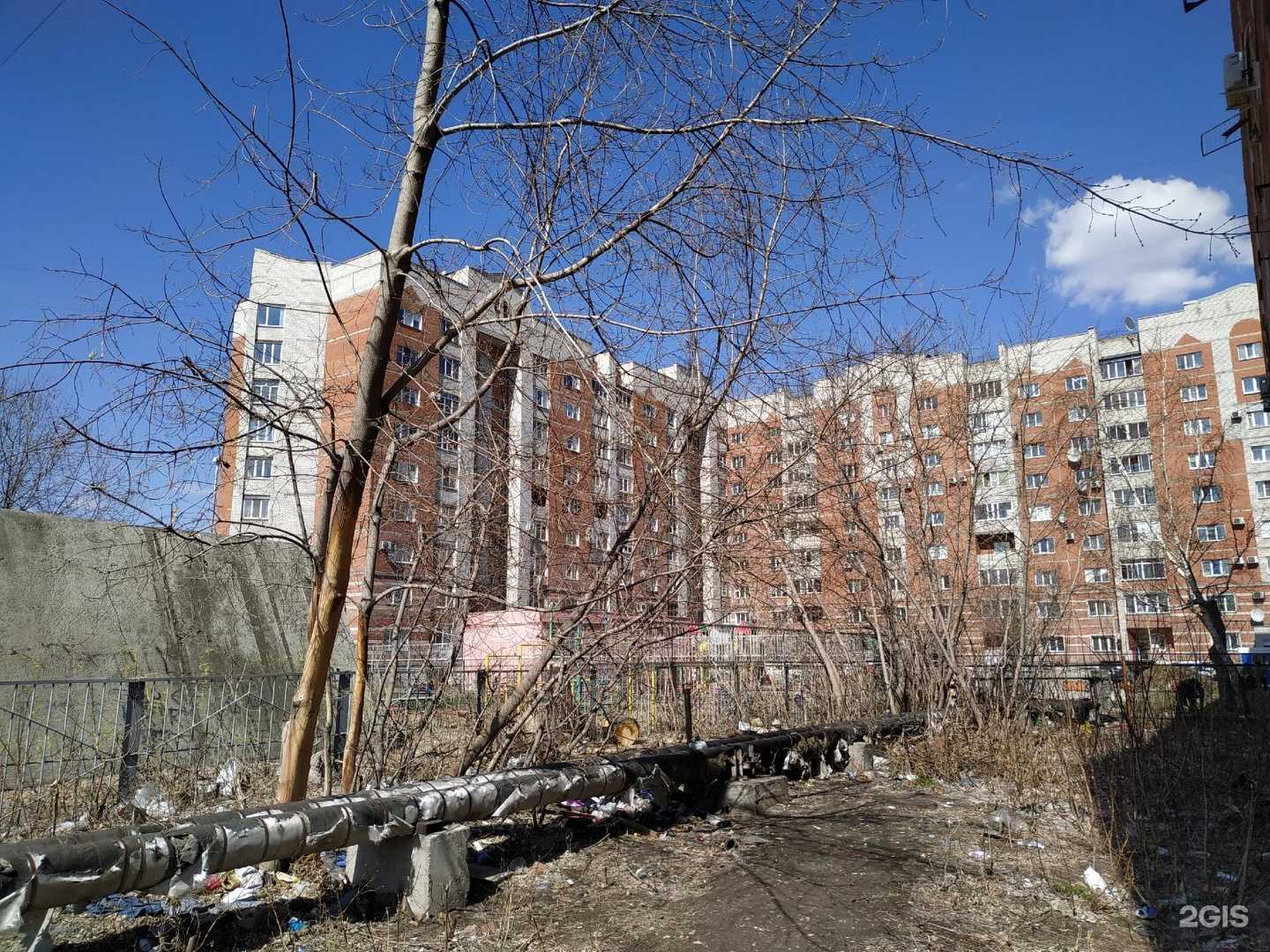 Отзывы на компанию AcademIQ в Омске c фото - фотография 2 из 2