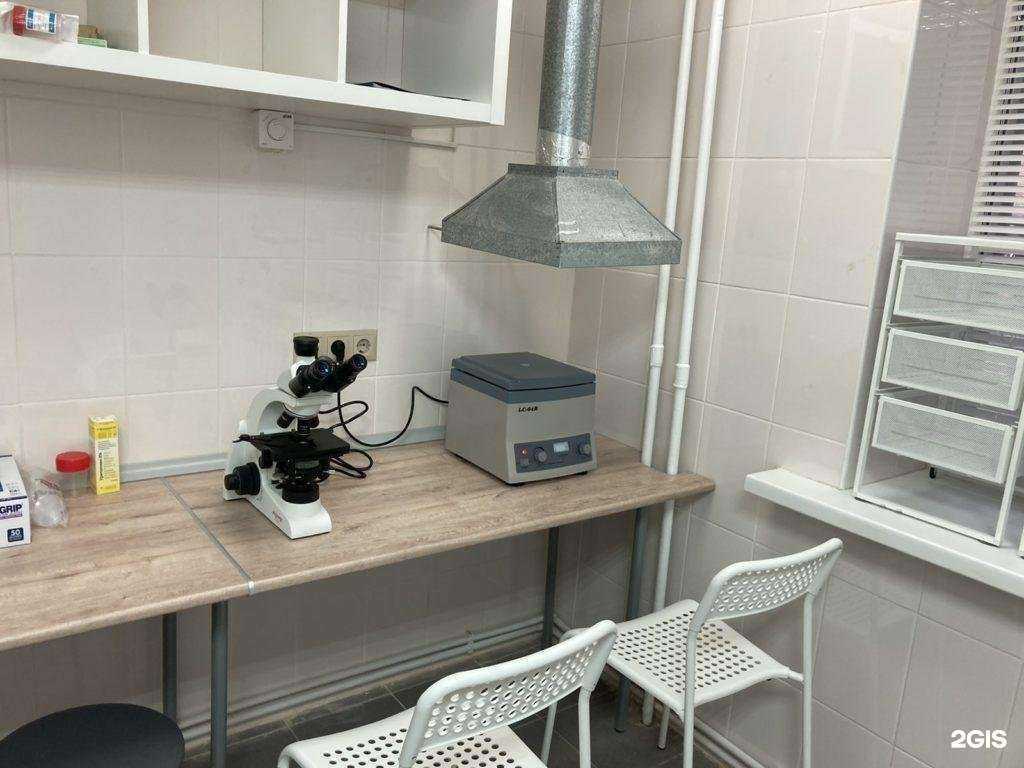 Отзывы на компанию Клиника ветеринарной медицины в г. Самара c фото