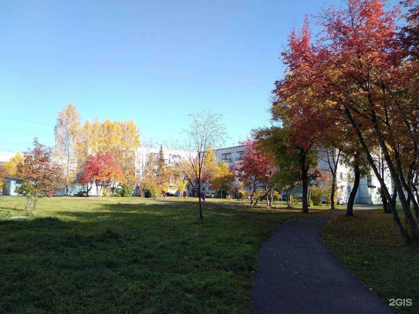 Отзывы на компанию Счастливые лапки в Прокопьевске c фото - фотография 2 из 2