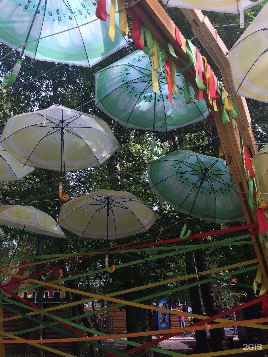 Отзывы на компанию Парк приключений в г. Новокузнецк c фото