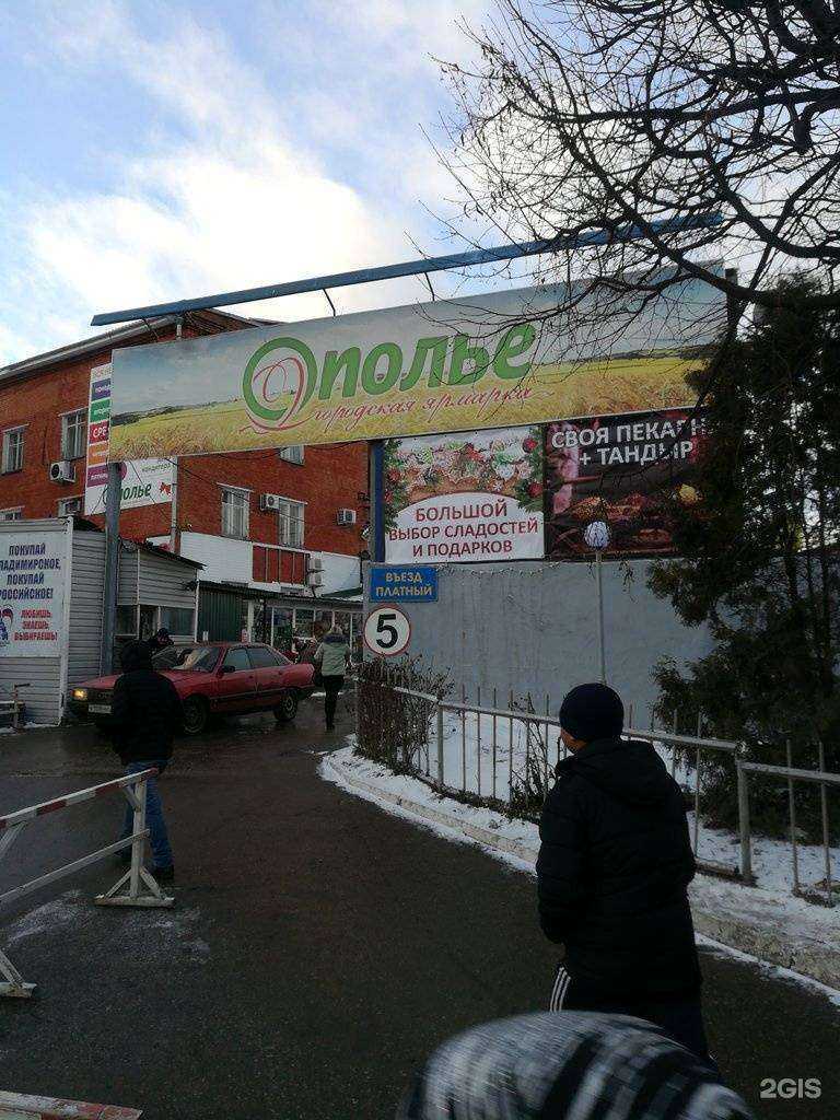 Отзывы на компанию Томас в Владимире c фото