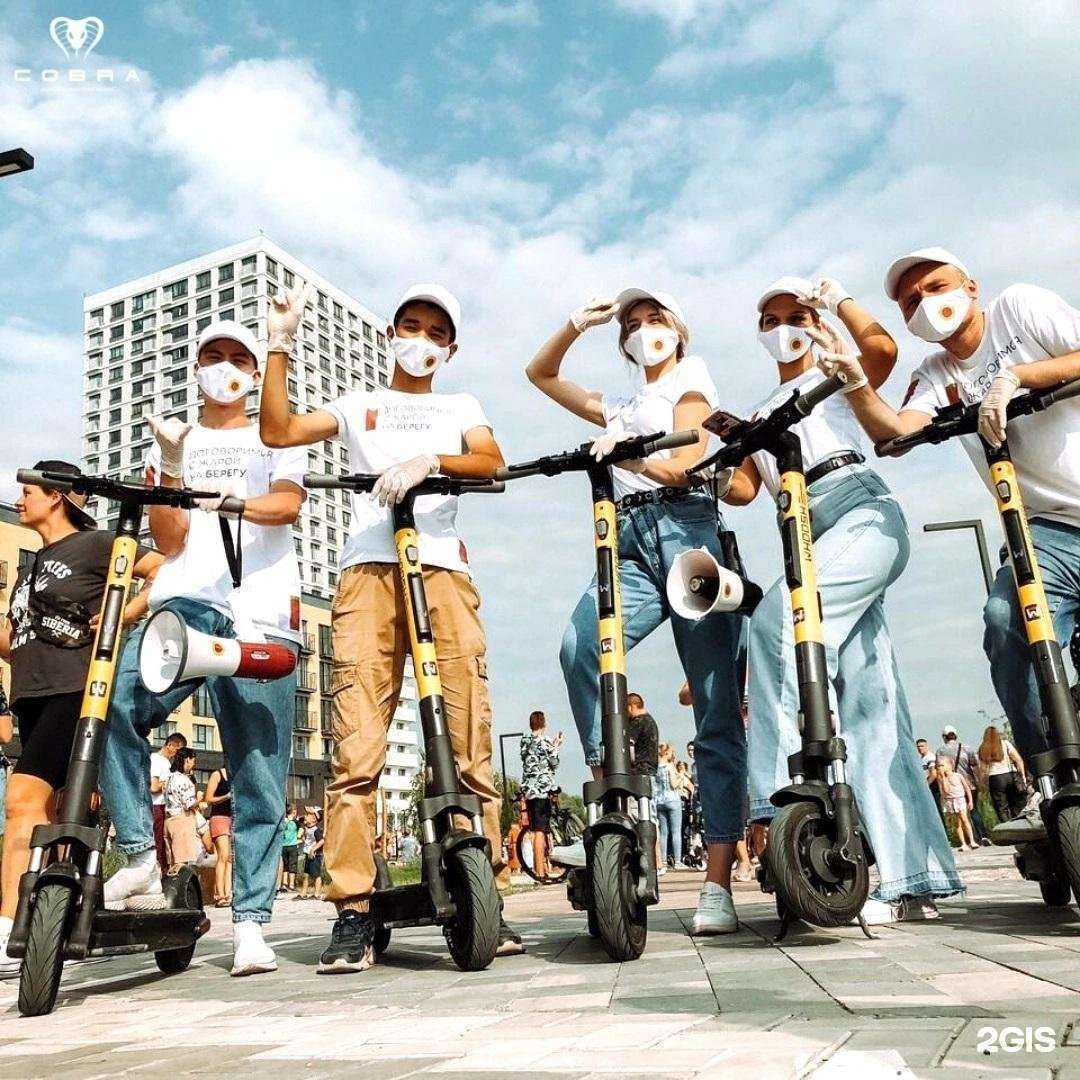 Отзывы на компанию Кобра в г. Новосибирск c фото