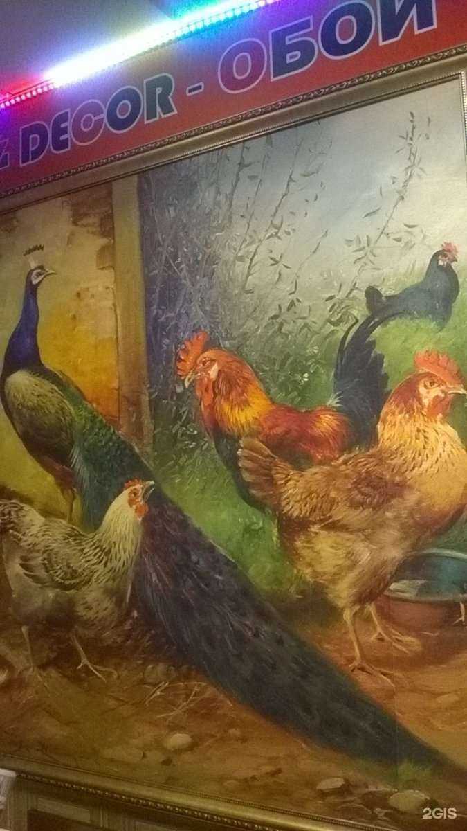 Отзывы на компанию Decor-обои в Пскове c фото